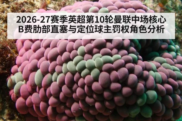 2026-27赛季英超第10轮曼联中场核心B费肋部直塞与定位球主罚权角色分析